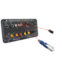 D10 yüksek bas USB ses amplifikatörü kurulu 12V/24V/220V AUX TF kart bluetooth çok fonksiyonlu Mic ev kullanımı uzaktan kumanda araba