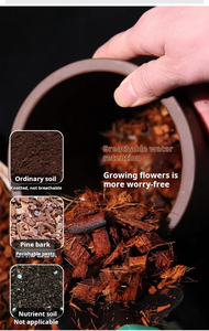 Vườn Màu Xanh Lá Cây Tại Giá Cả Phải chăng Giá Coco Than Bùn 5Kg Khối Coco Vỏ Chip Khối Coco Than Bùn Trong Sri Lanka - Product Image 2