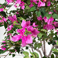 220cm Künstlicher Bougainvillea-Baum mit Seidenblumen Künstlicher Bonsai für Innenräume Hochzeit Heim Garten Dekoration