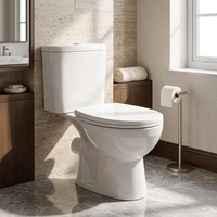 WC en céramique sanitaire, deux pièces, sur pied, emballage FCL 20GP, 100 ensembles pour commande en gros