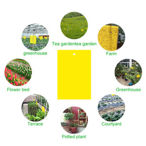 Yegbong Tablero azul de doble cara Thrips Invernaderos Orchard Armyworm <span class=keywords><strong>Killing</strong></span> Small Flies Fruit - Product Image 2