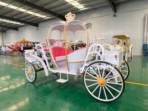 Voiture électrique de tourisme vintage certifiée CE, chariot royal rétro, véhicule navette électrique avec taille et couleur personnalisables - Product Image 6
