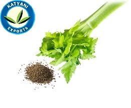 Hạt Giống Cần Tây Ấn Độ/Hạt Giống Cần Tây Nhà Cung Cấp/Dầu Hạt Giống Cần Tây Hữu Cơ Chất Lượng Tốt Nhất - Product Image 4