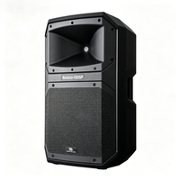 Haut-parleur amplifié DSP classe D 15'' 500W RMS total 131dB, grille en acier, boîtier en plastique, haut-parleur de scène professionnel