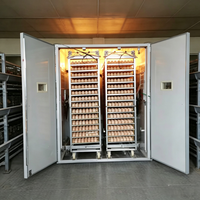 Incubateur automatique 3-en-1 de grande capacité pour 30 000 œufs, couveuse et éleveuse commerciale pour volailles (poulets, canards, oies)