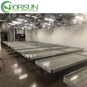 温室ベンチ垂直成長システムローリング鋼製ベンチトップEbbおよびフローテーブル水耕栽培トレイ付き - Product Image 5