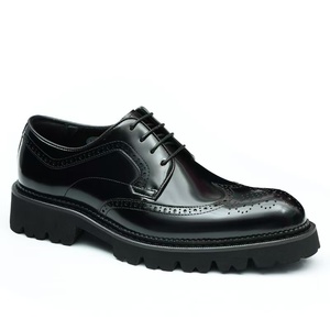 Nouvelles Chaussures Décontractées en Cuir Véritable Automne 2026 avec Franges, Mocassins de Qualité Supérieure pour Hommes, Chaussures de Conduite - Product Image 4