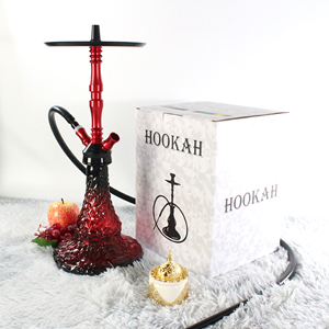 Klassisches Luxus-Shisha-Set mit modernem minimalist ischen Metall design mit mehreren Schläuchen Free Style Shisha und Chisha für unterwegs - Product Image 5