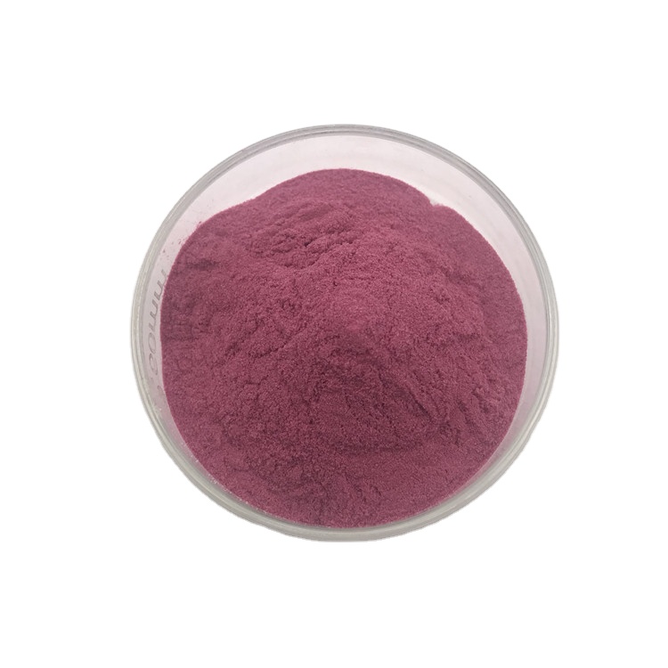 Hot Selling 18% Anthocyanins Black Currant Fruit Extract Black Currant Extract