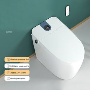 Inodoro Inteligente con Bidé Integrado, Asiento de Cerámica, Moderno y de Lujo, Eléctrico, Automático, de Una Pieza, con Doble Descarga y Sifón en P para Baño - Product Image 1