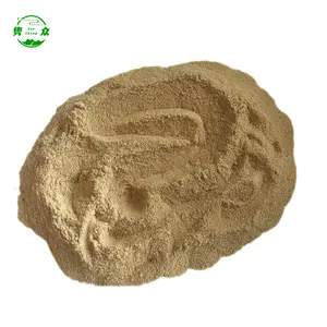 Pure Torula Yeast Powder of Yeast Extract Paste