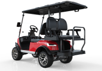Importation de voiturette de golf électrique en acier 2 4 6 places pour voiture de ramassage de club de golf Buggy tout-terrain