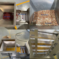 Ligne de production automatique à tête unique pour le remplissage de granulés (grains de café, aliments pour animaux, céréales, sucre, pilules de vitamines) en pots/bouteilles