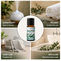 Huile essentielle d'eucalyptus pure et naturelle ; Améliore la respiration et offre des propriétés antibactériennes, idéale pour la parfumerie d'intérieur.