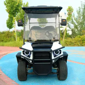 Nuovo marchio 2 4 6 posti Golf Cart Buggy da spiaggia consegna rapida carrello da Golf elettrico personalizzato sollevato