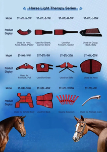 Strumento veterinario AQSHE equino cavallo equino ha condotto l'attrezzatura del gancio di terapia della luce rossa per il tappeto degli stivali delle pastiglie posteriori dell'equino del cavallo - Product Image 2