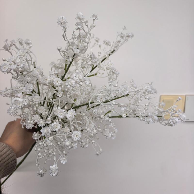 Bianco-4