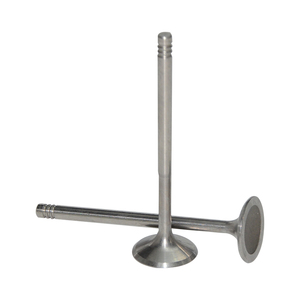 Raceorly Inlaatklep Kit 077109601q Voor Audi Vw 4.2l Motor Fit A8 Q7 Touareg Apb Bat Bfl Bfm - Product Image 1