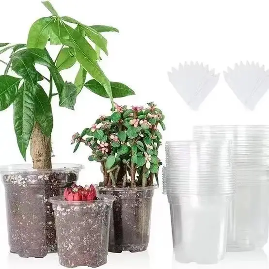 透明プラスチック卸売蘭の植木鉢穴のある蘭の鉢透明な蘭の鉢穴透明なプラスチックバスケット