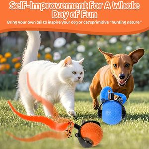 Automatic Interactive <strong>Cat</strong> <strong>Toys</strong> for Indoor Rolling Rechargeable <strong>Cat</strong> Enrichment <strong>Toys</strong> Smart Pet <strong>Cat</strong> <strong>Toy</strong> Ball - Product Image 6
