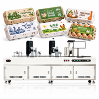 UV Flatbed Printer voor gevormde pulp eierdozen 210mm bovenkant 27/33mm zijkant 1200DPI 40-60 eenheden/min automatisch nieuw