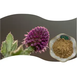 Natural Free Sample Belaunja Extract 10:1 Sphaeranthus Indicus Extract