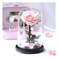 Dôme en verre rose éternelle cadeau Saint Valentin dôme rose préservé rose éternelle en dôme de verre