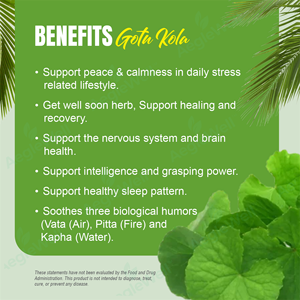 Capsules de <span class=keywords><strong>Gotu</strong></span> <span class=keywords><strong>Kola</strong></span> OEM de marque privée pour soutenir la santé de la peau et le système immunitaire 60capsules - Product Image 5