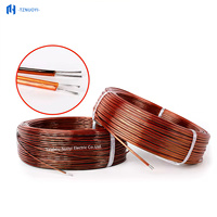 Kabel RTD Berisolasi Lapis Ganda Poliimida & PTFE dengan Kawat Berinti 2/3/4 Inti dan Pelindung Anyaman Baja Tahan Karat