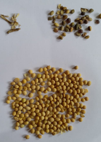 Trieuse de lentilles WENYAO de bonne qualité, machine de tri de couleur des soja à bas prix