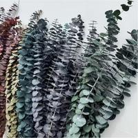 Bunga Eucalyptus Kering Alami Berkualitas Tinggi Harga Grosir 60cm+ untuk Hari Ibu, Thanksgiving, Valentine