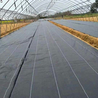 Paysage Agrotextile Anti Herbe Paillage Jardin Barrière Contre Les Mauvaises Herbes Tissu Agricole Couvre-Sol