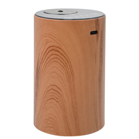 Déshumidificateurs commerciaux pour utilisation de véhicule Compact USB luxe voiture électrique maison diffuseur bureau bureau voyage voiture diffuseur de parfum