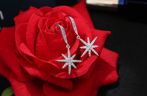 Orecchini Pendenti in Argento 925 Placcato Platino per Donna, Regalo di Moda per Feste e Matrimoni, Lunghi Classici con Zirconi Brillanti - Product Image 4