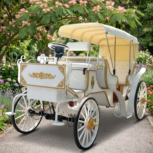Voiture de tourisme électrique type Victoria à prix d'usine, transport spécial, carrosses de mariage et de tourisme à vendre - Product Image 1
