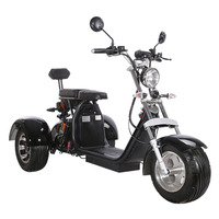 Vente en gros depuis l'entrepôt UE : Scooters électriques Citycoco à 3 roues pour adultes, 2000 W, 60 V, 20/40 Ah, puissants et longue autonomie