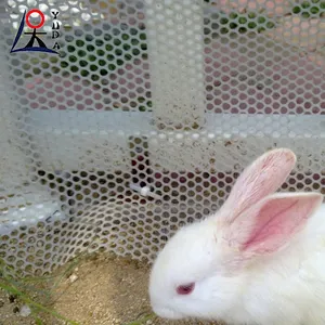 Hot venda de diamantes e hexagon aves nidificantes de frango de plástico piso de malha de malha de plástico extrudado