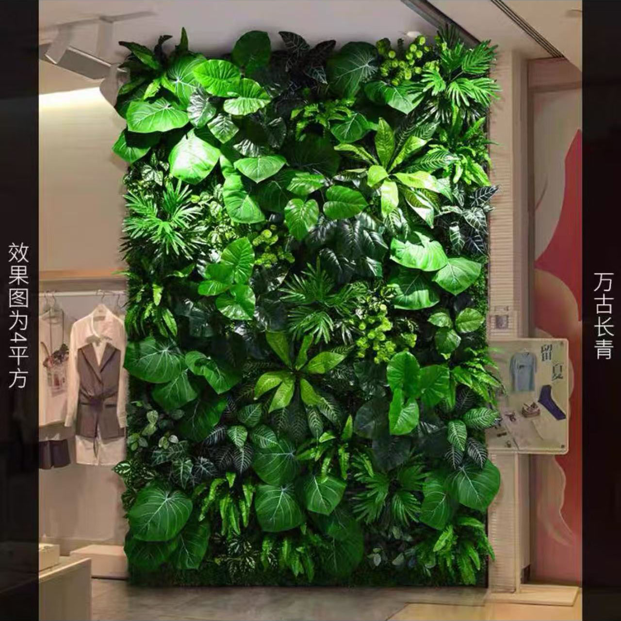 essere sempreverde㎡