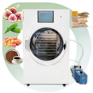 Liquid Dryer Food Maker Small Lyophilizer Vacuum Freezing Drying Machine Portable to Freeze Dry