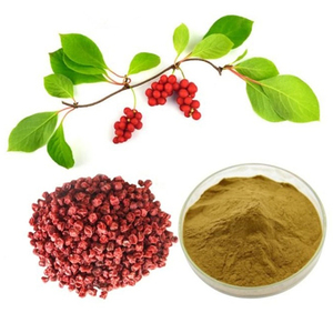 공장 공급 천연 <span class=keywords><strong>Schisandra</strong></span> <span class=keywords><strong>Chinensis</strong></span> 추출물 분말 Schizandrins - Product Image 2