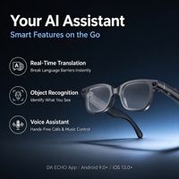 Lunettes intelligentes avec IA et écran d'affichage, affichage des notifications + caméra + traduction, batterie amovible