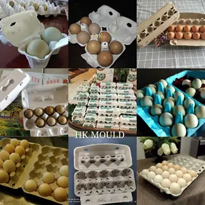 Customized Aluminum Pulp Egg Carton Mould Install Egg Tray Forming Machine In India/Indonesia