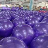 Ballon de fitness/yoga en PVC de 65 cm pour femmes enceintes et entraînement des enfants & exercices d'équilibre