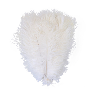 Plumes d'autruche teintées en gros, 20-25 cm, blanches <span class=keywords><strong>et</strong></span> noires, pour centres de table de mariage - Product Image 3