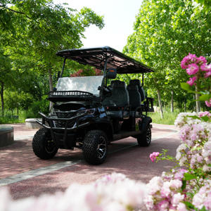 Carrito <span class=keywords><strong>de</strong></span> Golf Eléctrico <span class=keywords><strong>de</strong></span> 6 Plazas 2026, Batería <span class=keywords><strong>de</strong></span> Litio, Aluminio, 30-50 km/h, 70-90 km <span class=keywords><strong>de</strong></span> Autonomía, para Turismo, <span class=keywords><strong>Hoteles</strong></span>, Villas, Aeropuertos - Product Image 5