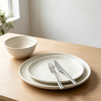 Ensemble de vaisselle moderne en grès motif graines de sésame, vente en gros, assiettes et bols en céramique assortis, service de table 12 pièces avec finition mate