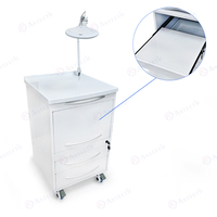Armoire dentaire mobile, portable, de qualité hospitalière, en acier inoxydable, design moderne, pour laboratoire dentaire, salon de beauté, atelier