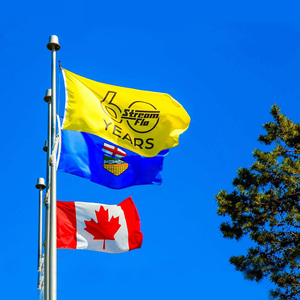 Nhà Máy Bán buôn 90x150cm 100% polyester tùy chỉnh chống nhăn di động 3x5 ft ngoài trời nhuộm thăng hoa in khuyến mại cờ - Product Image 2