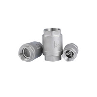 Clapet anti-retour à ressort en acier inoxydable 304SS pour eau, huile, vapeur, 3/4 pouces, haute température