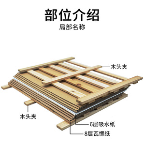 Juego completo de clips de madera para especímenes, clips para plantas, tiras de madera con papel absorbente, 30*40cm - Product Image 3